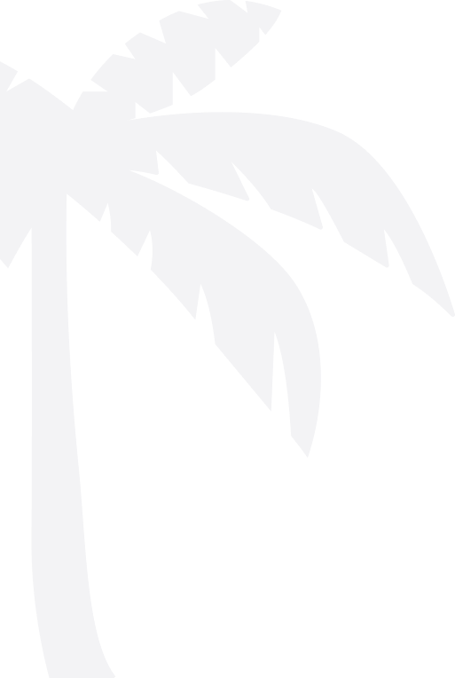 Palmier Noir Illustration